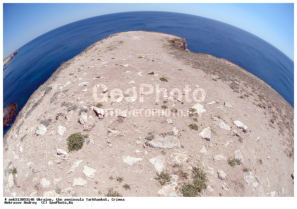 ����, �������, ����������, ���������, ����, �����, �������, �����, ��������� �����, �����, ����, ����, ������������, ����, ��������, ��������, ��������, ��������, �������, ����, �������, �������, �������, ���, ����������, ����, ������, ���������, ������, �������, ���������, ����������, ������, ����������, ����������, ���������, ������������, ������������, ������������, ����������, �����