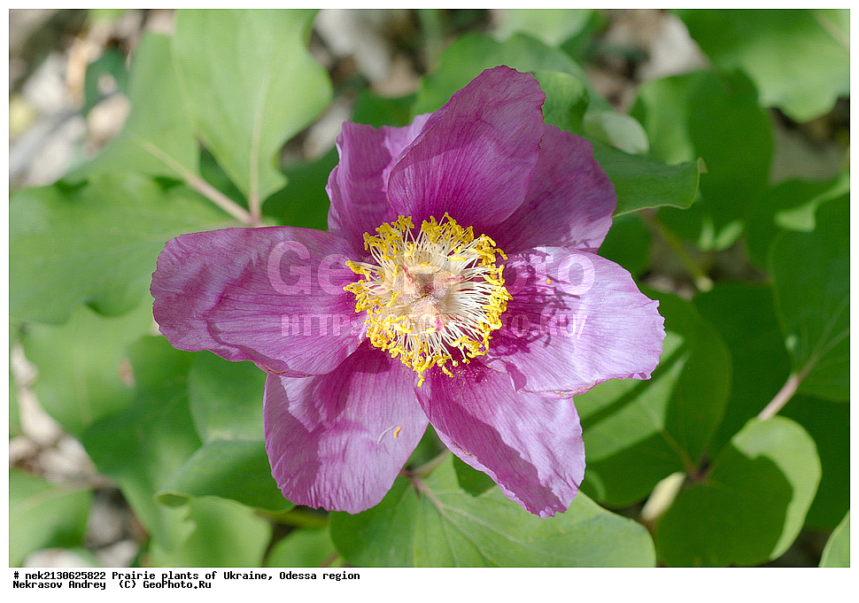 �������, ��������, �������, ����, ��������, ��������, �������, �������, �����, �������, ������, ��������, ��������, ��������, ������������, ������������, ������  