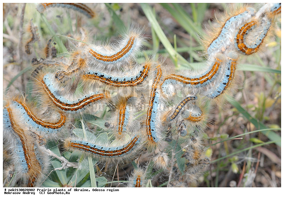 �������, ��������, �������, ��������, ����������, ����������, ���������, ��������, ���������, ���������, ��������, ��������, �����, ������, ��������, ���������, ������, �������, �������, �����, ��������������, �������������, ��������������