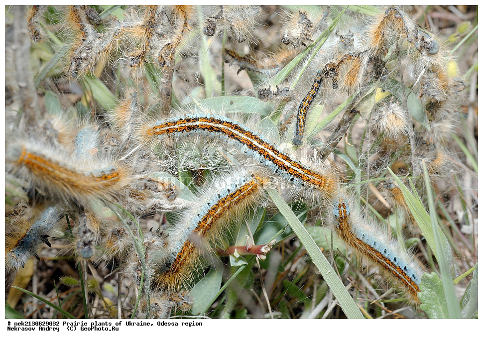 �������, ��������, �������, ��������, ����������, ����������, ���������, ��������, ���������, ���������, ��������, ��������, �����, ������, ��������, ���������, ������, �������, �������, �����, ��������������, �������������, ��������������