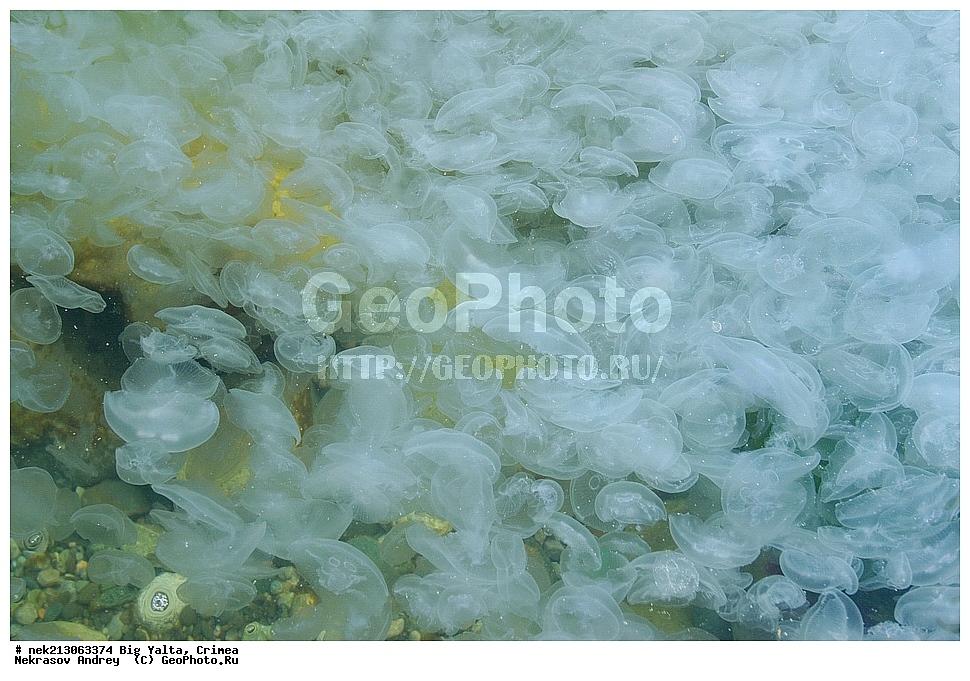 ������� ����, ����, �������, ����, ��������, ��������� ������, ������� ������ , ������, ���, ����, �����, �����, �����, �����, ��������, ��������, ������, ������, ����, ���������, ���, ��� �����, ���������, ��������� ����������, ���������, ���������, ��������� ���, ���������� ���������, �������, �����, ���������, �������, ������������, ������������, ������ ����