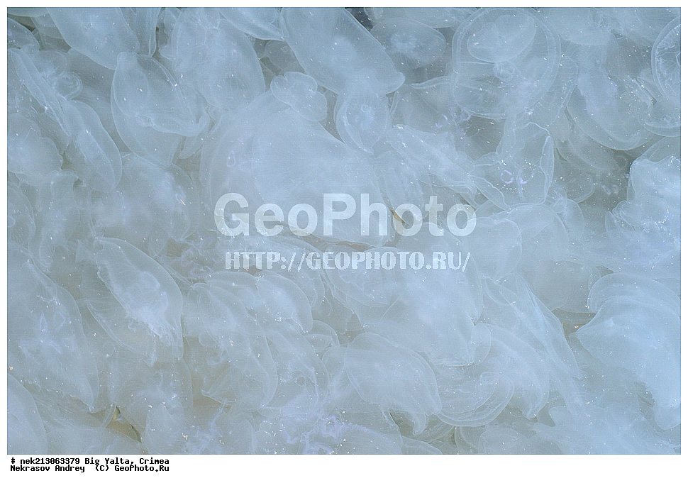 ������� ����, ����, �������, ����, ��������, ��������� ������, ������� ������ , ������, ���, ����, �����, �����, �����, �����, ��������, ��������, ������, ������, ����, ���������, ���, ��� �����, ���������, ��������� ����������, ���������, ���������, ��������� ���, ���������� ���������, �������, �����, ���������, �������, ������������, ������������, ������ ����