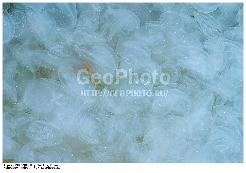 ������� ����, ����, �������, ����, ��������, ��������� ������, ������� ������ , ������, ���, ����, �����, �����, �����, �����, ��������, ��������, ������, ������, ����, ���������, ���, ��� �����, ���������, ��������� ����������, ���������, ���������, ��������� ���, ���������� ���������, �������, �����, ���������, �������, ������������, ������������, ������ ����