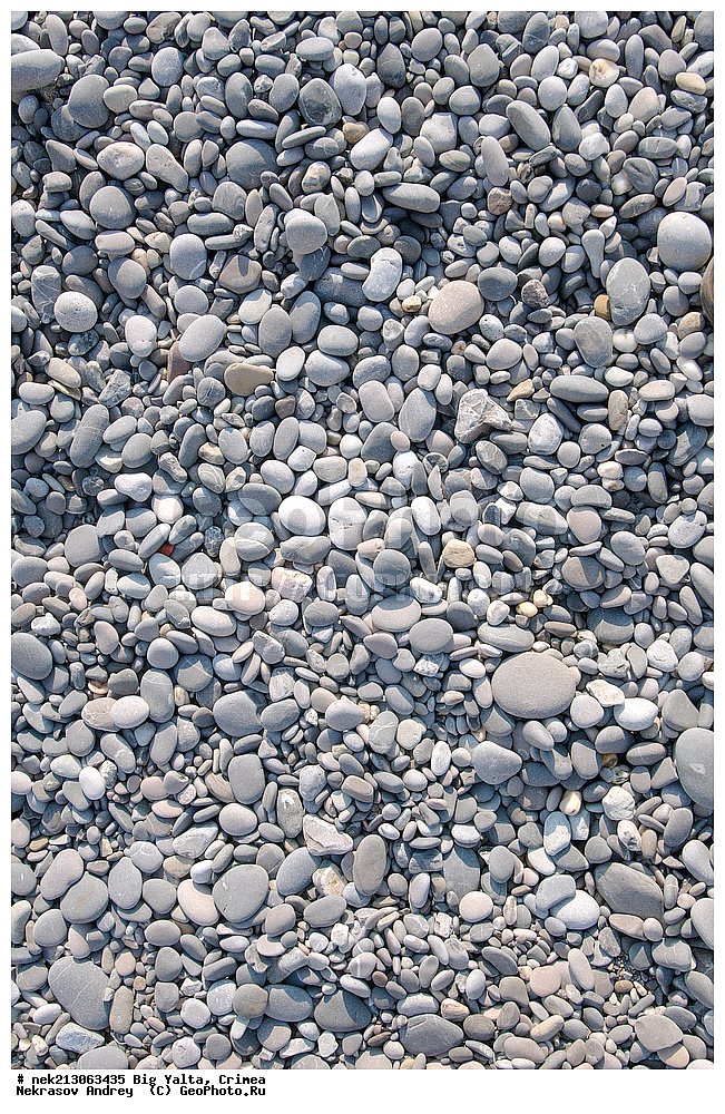 ������� ����, ����, ��������, ��������, ����, �������, ������, �������, ��������, ��������, �����, ������, �����, �������, �����, ����, ���