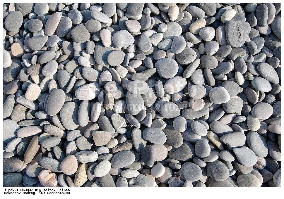 ������� ����, ����, ��������, ��������, ����, �������, ������, �������, ��������, ��������, �����, ������, �����, �������, �����, ����, ���