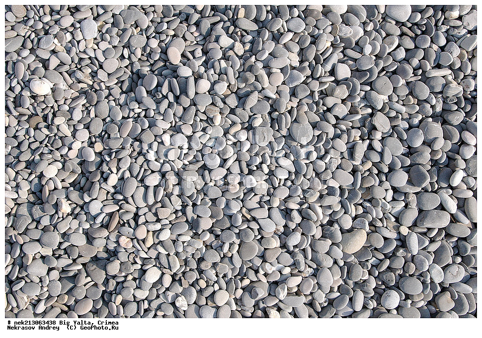 ������� ����, ����, ��������, ��������, ����, �������, ������, �������, ��������, ��������, �����, ������, �����, �������, �����, ����, ���