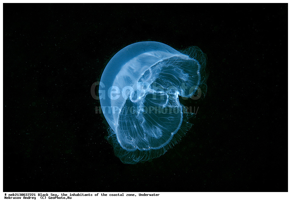 ������ ����, ��������� ������, ������, ������, �������, ������, ������� ������ , ��������� ���, ��������� ����������, ��� �����, ���, �����, ���������, ���������, ���������, ����, ����, ��������, ��������, �������, ������������, ������������, ����, ���������� ���������, ��������, ���, ���������, �����, �����, �����