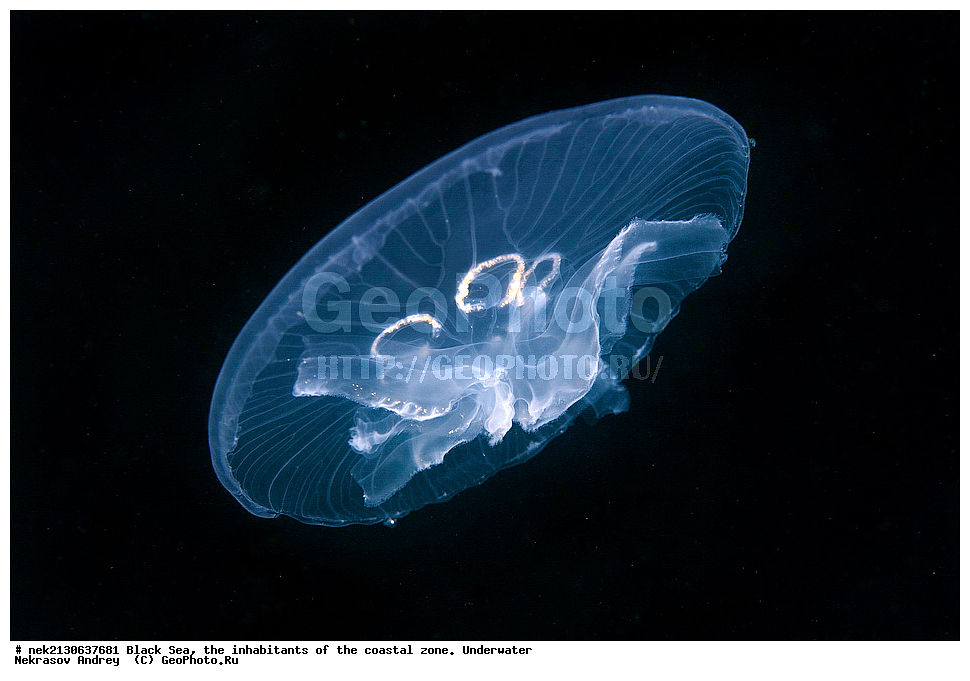 ������ ����, ��������� ������, ������, ������, �������, ������, ������� ������ , ���������, �������, ������, ������������, ������������, �������, ������������, ���������, ������, 7, ����, ��������� ���, ��������� ����������, ��� �����, ���, �����, ���������, ���������, ���������, ����, ����, ��������, ��������, �������, ������������, ������������, ����, ���������� ���������, ��������, ���, ���������, �����, �����, �����