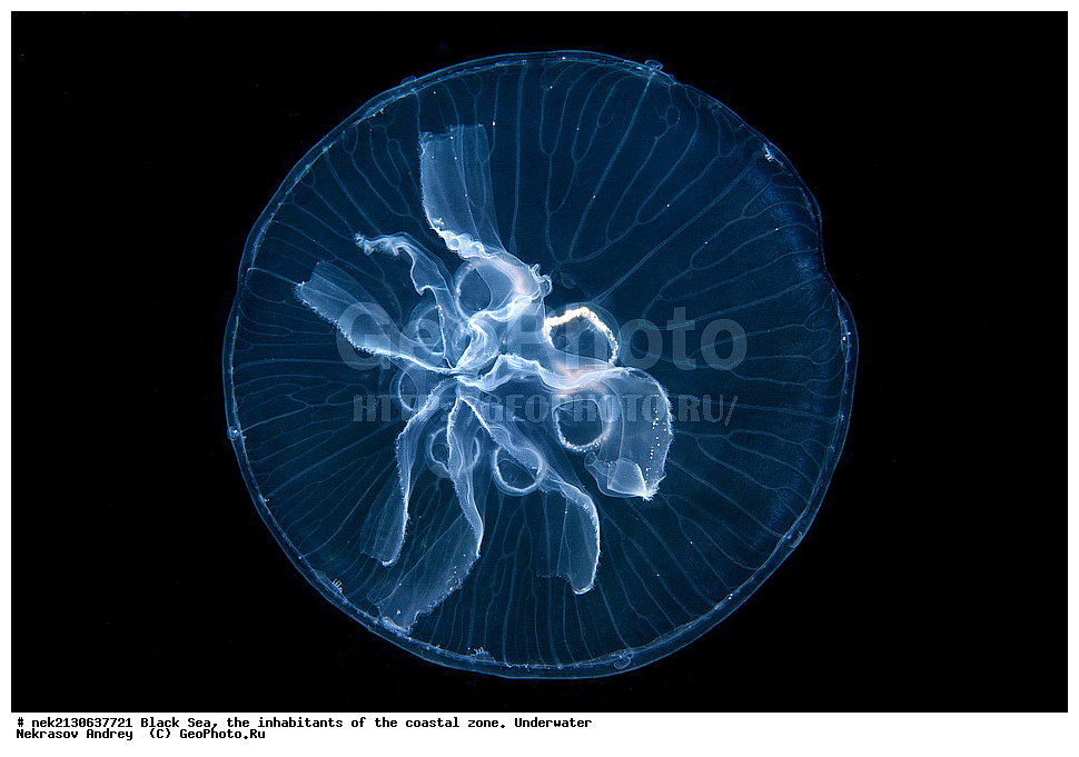 ������ ����, ��������� ������, ������, ������, �������, ������, ������� ������ , ���������, �������, ������, ������������, ������������, �������, ������������, ���������, ������, 7, ����, ��������� ���, ��������� ����������, ��� �����, ���, �����, ���������, ���������, ���������, ����, ����, ��������, ��������, �������, ������������, ������������, ����, ���������� ���������, ��������, ���, ���������, �����, �����, �����