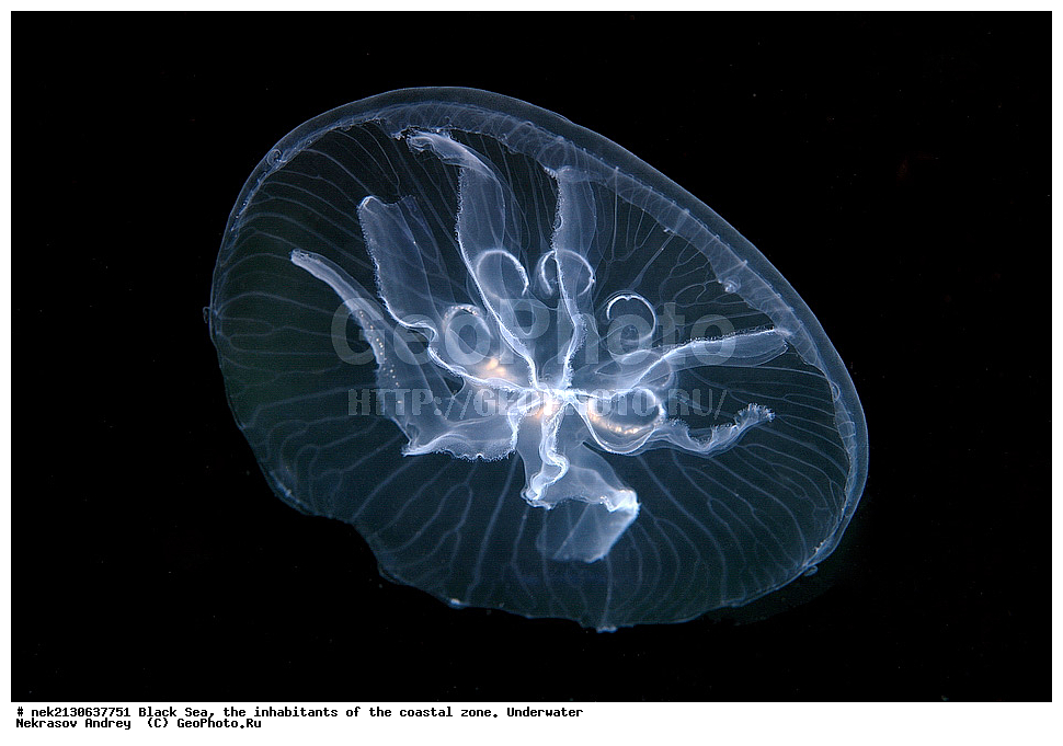 ������ ����, ��������� ������, ������, ������, �������, ������, ������� ������ , ���������, �������, ������, ������������, ������������, �������, ������������, ���������, ������, 7, ����, ��������� ���, ��������� ����������, ��� �����, ���, �����, ���������, ���������, ���������, ����, ����, ��������, ��������, �������, ������������, ������������, ����, ���������� ���������, ��������, ���, ���������, �����, �����, �����