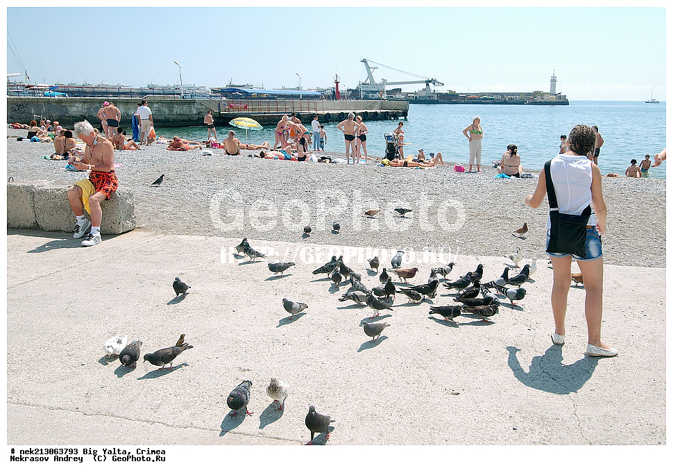 ������� ����, ����, ����������, �����, ����, ������, ���������, �����, �����, ������, ����, ����, �����, �����, ��������, ������, ����������, ���, �����, �����, �����, ��������, ������, ����, �������, ������, �����, ����, ��������, ������, �������