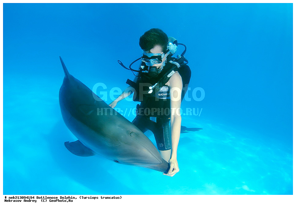 ����������� ����, ������� �������������, ������, ��������� ���, �������, �����������, ������,  ��������, ����, ������, ������, �����, ������, �������, ������, �������, �������, �����������, ��������, ����� �������, ��������, ����� ����, �������, ������� �����, �������, �������, ����, ���������, ����������, ���������� ��� ����, ���, ���������, ��������� ����������, ���������, ���������, ���������, ��������� ����������, ���������, ��������� �����, ��� �����, ��������, ���������, ������� � �������, ��������, ������������, �������, �������, ������������ �������, ������������