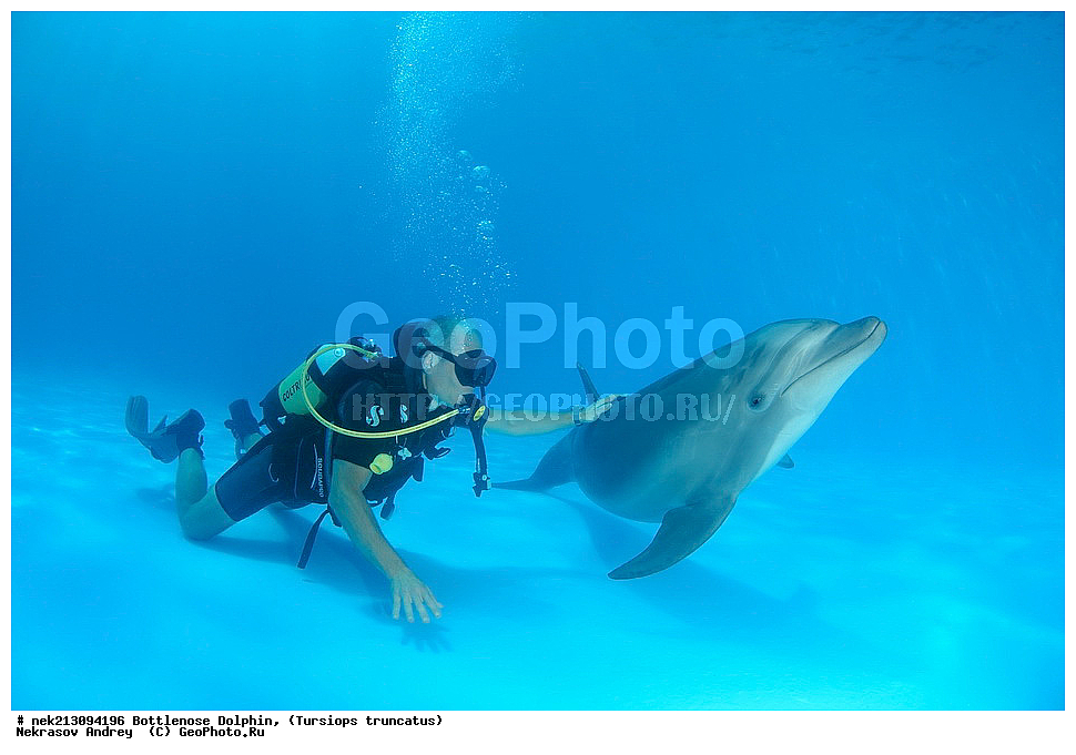 ����������� ����, ������� �������������, ������, ��������� ���, �������, �����������, ������,  ��������, ����, ������, ������, �����, ������, �������, ������, �������, �������, �����������, ��������, ����� �������, ��������, ����� ����, �������, ������� �����, �������, �������, ����, ���������, ����������, ���������� ��� ����, ���, ���������, ��������� ����������, ���������, ���������, ���������, ��������� ����������, ���������, ��������� �����, ��� �����, ��������, ���������, ������� � �������, ��������, ������������, �������, �������, ������������ �������, ������������