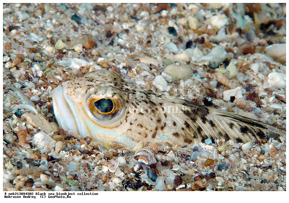 ������ ����, ����������, ���������, ����, ��������, ��������� ������, ���, ����, �����, �����, �����, �����, ��������, ��������, ����, ���������, ���, ��� �����, ���������, ��������� ����������, ���������, ���������, ��������� ���, ���������� ���������, �������, ������������, ������������, ������, ������ ����, �������, ���������, �������, �������, ������, ��������, ������, ��������, ����, ����, �������, �������, ������   , ����������, ��������, ����������, �, �����, �������, ���������, ������������, �����������, ��������������, �����, ���������, ��������