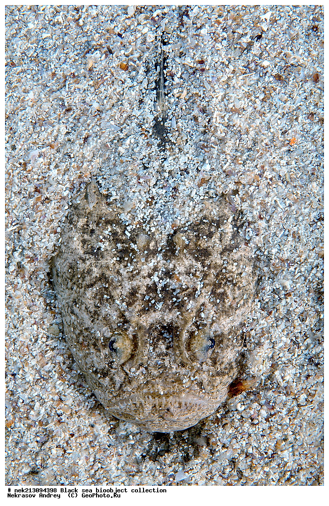 ������ ����, ����������, ���������, ����, ��������, ��������� ������, ���, ����, �����, �����, �����, �����, ��������, ��������, ����, ���������, ���, ��� �����, ���������, ��������� ����������, ���������, ���������, ��������� ���, ���������� ���������, �������, ������������, ������������, ������, ������ ����, ���������, ������� ������, ��������, ��������, ����, ����, ����������, ��������, ����������, �, �����, �������, ���������, ������������, �����������, ��������������, �����, ���������, ��������