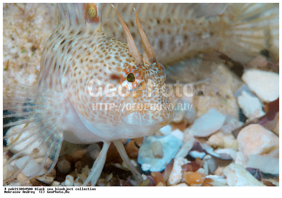 ������ ����, ����������, ���������, ����, ��������, ��������� ������, ���, ����, �����, �����, �����, �����, ��������, ��������, ����, ���������, ���, ��� �����, ���������, ��������� ����������, ���������, ���������, ��������� ���, ���������� ���������, �������, ������������, ������������, ������, ������ ����, ����, ����, �������, ������, �������, �������, �������, ������, ����������������, 