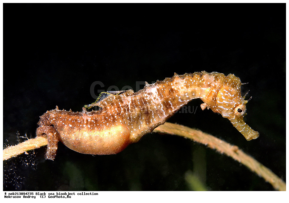 ������ ����, ����������, ���������, ����, ��������, ��������� ������, ���, ����, �����, �����, �����, �����, ��������, ��������, ����, ���������, ���, ��� �����, ���������, ��������� ����������, ���������, ���������, ��������� ���, ���������� ���������, �������, ������������, ������������, ������, ������ ����, �������, �����, �����, ����, ����, �����, �, �����, �����������, ����������� 