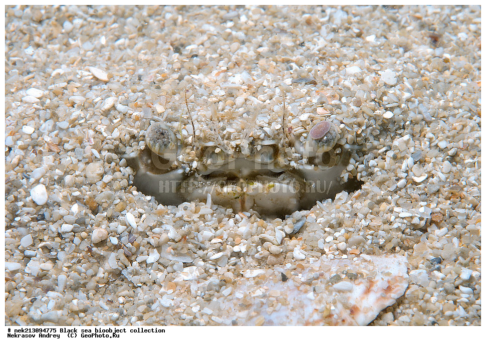 ������ ����, ����������, ���������, ����, ��������, ��������� ������, ���, ����, �����, �����, �����, �����, ��������, ��������, ����, ���������, ���, ��� �����, ���������, ��������� ����������, ���������, ���������, ��������� ���, ���������� ���������, �������, ������������, ������������, ������, ������ ����, ����, ��������, ���������, �����, ����������, ��������, ����������, �, �����, �������, ���������, ������������, �����������, ��������������, �����, ���������, ��������