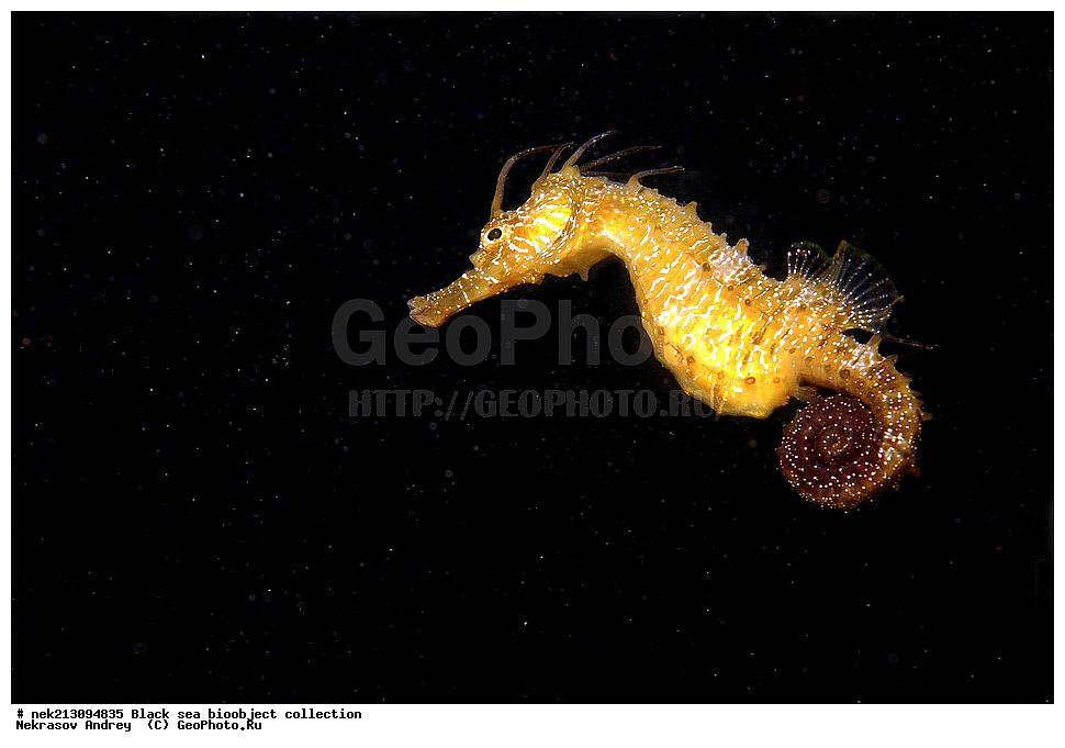 ������ ����, ����������, ���������, ����, ��������, ��������� ������, ���, ����, �����, �����, �����, �����, ��������, ��������, ����, ���������, ���, ��� �����, ���������, ��������� ����������, ���������, ���������, ��������� ���, ���������� ���������, �������, ������������, ������������, ������, ������ ����, �������, �����, �����, ����, ����