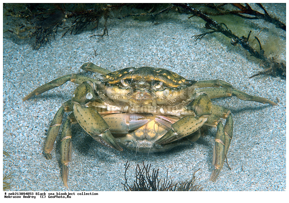 ������ ����, ����������, ���������, ����, ��������, ��������� ������, ���, ����, �����, �����, �����, �����, ��������, ��������, ����, ���������, ���, ��� �����, ���������, ��������� ����������, ���������, ���������, ��������� ���, ���������� ���������, �������, ������������, ������������, ������, ������ ����, ����������, �����������, �����������, ��������, �������, ����, �����