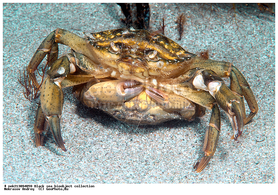 ������ ����, ����������, ���������, ����, ��������, ��������� ������, ���, ����, �����, �����, �����, �����, ��������, ��������, ����, ���������, ���, ��� �����, ���������, ��������� ����������, ���������, ���������, ��������� ���, ���������� ���������, �������, ������������, ������������, ������, ������ ����, ����������, �����������, �����������, ��������, �������, ����, �����