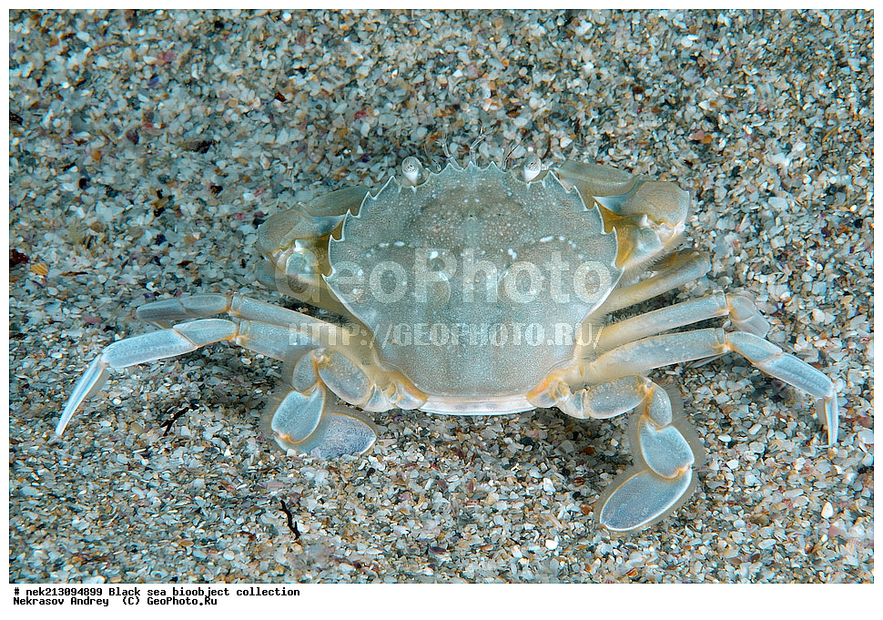 ������ ����, ����������, ���������, ����, ��������, ��������� ������, ���, ����, �����, �����, �����, �����, ��������, ��������, ����, ���������, ���, ��� �����, ���������, ��������� ����������, ���������, ���������, ��������� ���, ���������� ���������, �������, ������������, ������������, ������, ������ ����, ����, ��������, ���������, �����