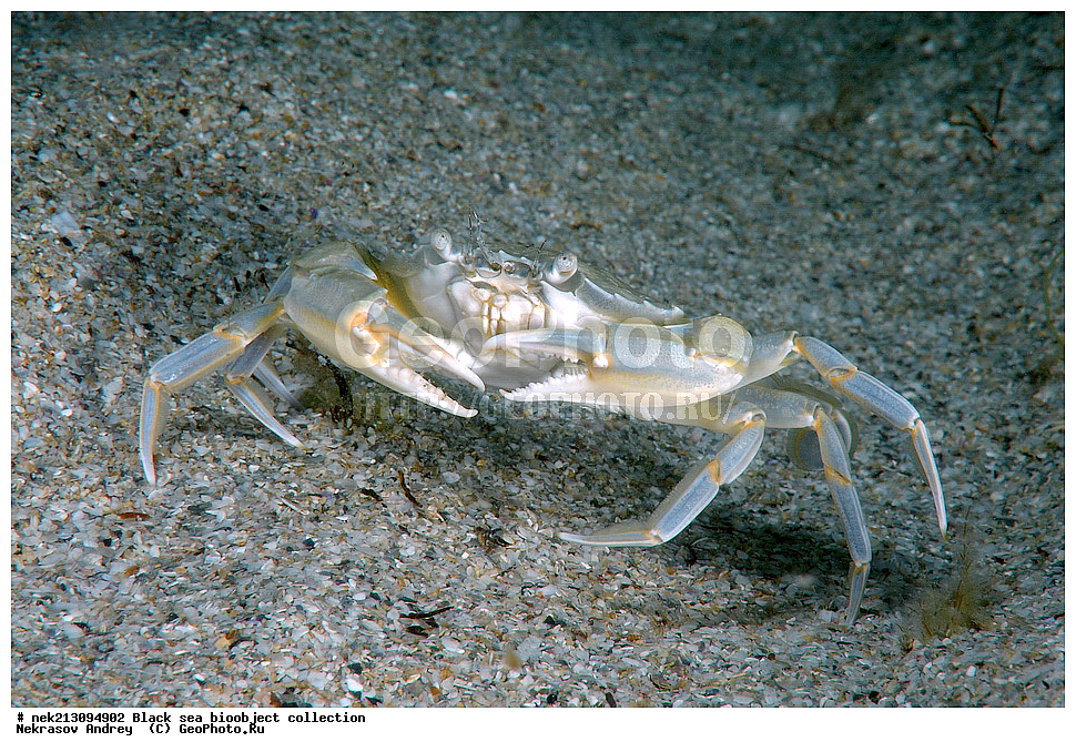 ������ ����, ����������, ���������, ����, ��������, ��������� ������, ���, ����, �����, �����, �����, �����, ��������, ��������, ����, ���������, ���, ��� �����, ���������, ��������� ����������, ���������, ���������, ��������� ���, ���������� ���������, �������, ������������, ������������, ������, ������ ����, ����, ��������, ���������, �����