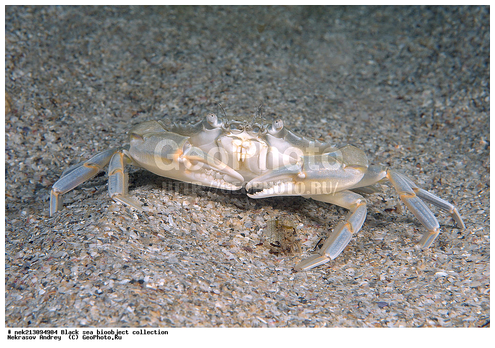 ������ ����, ����������, ���������, ����, ��������, ��������� ������, ���, ����, �����, �����, �����, �����, ��������, ��������, ����, ���������, ���, ��� �����, ���������, ��������� ����������, ���������, ���������, ��������� ���, ���������� ���������, �������, ������������, ������������, ������, ������ ����, ����, ��������, ���������, �����