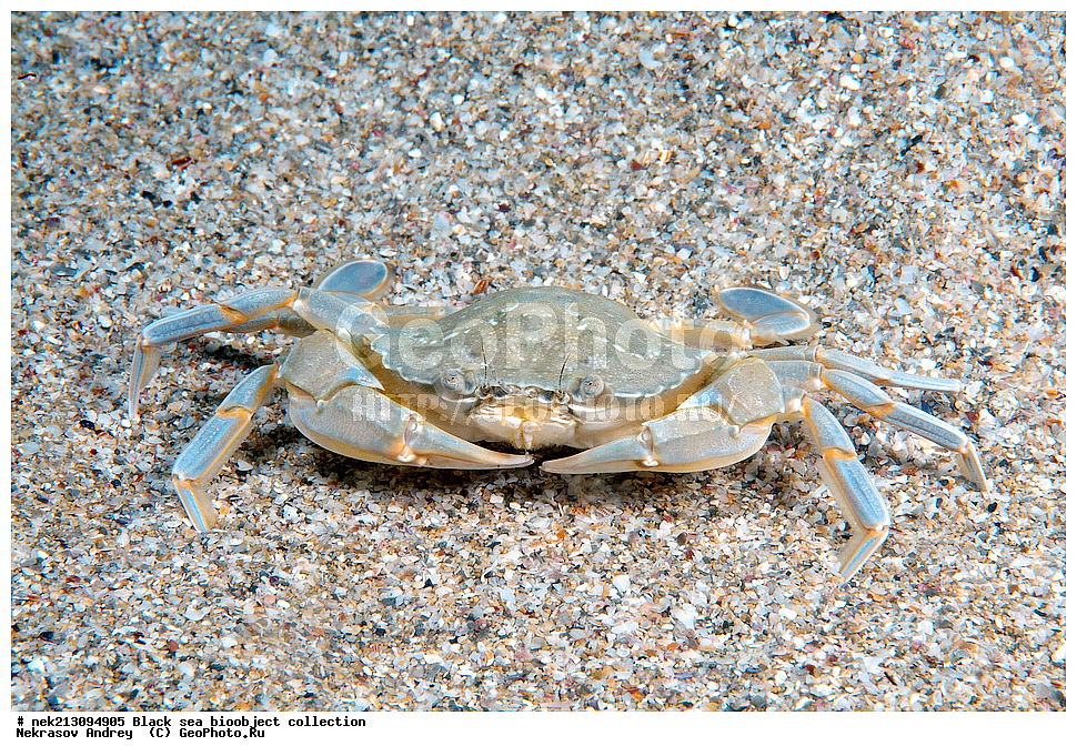 ������ ����, ����������, ���������, ����, ��������, ��������� ������, ���, ����, �����, �����, �����, �����, ��������, ��������, ����, ���������, ���, ��� �����, ���������, ��������� ����������, ���������, ���������, ��������� ���, ���������� ���������, �������, ������������, ������������, ������, ������ ����, ����, ��������, ���������, �����