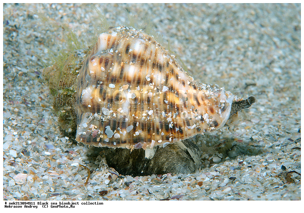 ������ ����, ����������, ���������, ����, ��������, ��������� ������, ���, ����, �����, �����, �����, �����, ��������, ��������, ����, ���������, ���, ��� �����, ���������, ��������� ����������, ���������, ���������, ��������� ���, ���������� ���������, �������, ������������, ������������, ������, ������ ����, ����, ��������, ��������� ������, ���, ����, �����, �����, �����, �����, ��������, ��������, ����, ���������, ���, ��� �����, ���������, ��������� ����������, ���������, ���������, ��������� ���, ���������� ���������, �������, ������������, ������������, ������, ������ ����, �������, ������, ����������, �����, ������, ����, ����, ��������, ��������, ��������, ��������, ������ ����, ���-��������