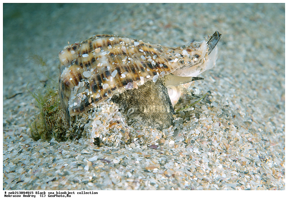 ������ ����, ����������, ���������, ����, ��������, ��������� ������, ���, ����, �����, �����, �����, �����, ��������, ��������, ����, ���������, ���, ��� �����, ���������, ��������� ����������, ���������, ���������, ��������� ���, ���������� ���������, �������, ������������, ������������, ������, ������ ����, �������, ������, ����������, �����, ������, ����, ����, ��������, ��������, ��������, ��������, ������ ����, ���-��������