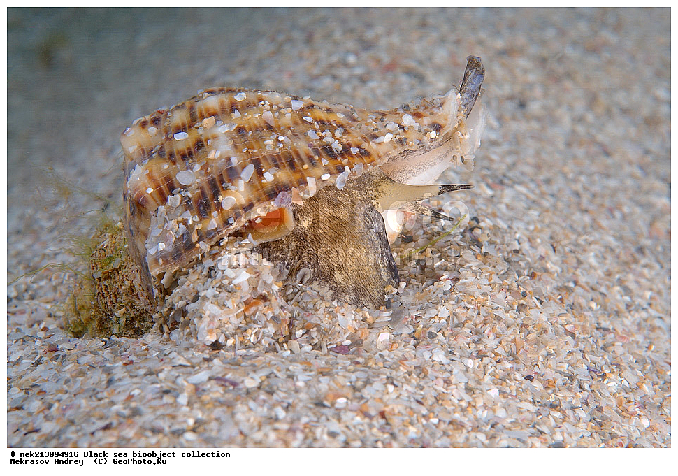 ������ ����, ����������, ���������, ����, ��������, ��������� ������, ���, ����, �����, �����, �����, �����, ��������, ��������, ����, ���������, ���, ��� �����, ���������, ��������� ����������, ���������, ���������, ��������� ���, ���������� ���������, �������, ������������, ������������, ������, ������ ����, �������, ������, ����������, �����, ������, ����, ����, ��������, ��������, ��������, ��������, ������ ����, ���-��������