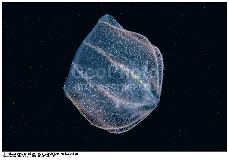 ������ ����, ����������, ���������, ����, ��������, ��������� ������, ���, ����, �����, �����, �����, �����, ��������, ��������, ����, ���������, ���, ��� �����, ���������, ��������� ����������, ���������, ���������, ��������� ���, ���������� ���������, �������, ������������, ������������, ������, ������ ����, ������, ���������, �����, ����������, ������, ����, ����, ��������, ��������, ��������, ��������, ������ ����, ���-��������