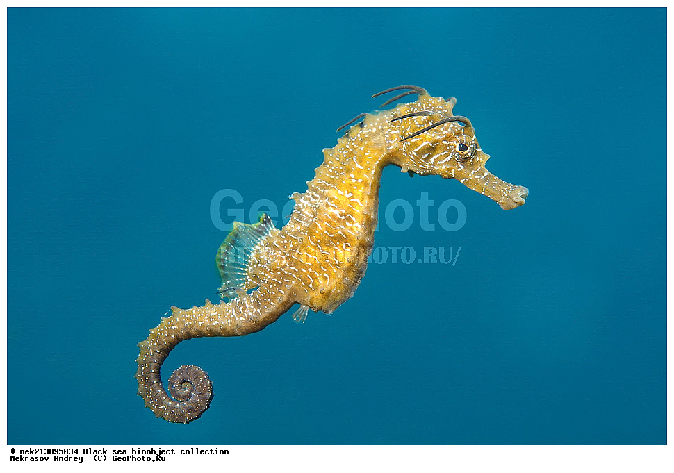 ������ ����, ����������, ���������, ����, ��������, ��������� ������, ���, ����, �����, �����, �����, �����, ��������, ��������, ����, ���������, ���, ��� �����, ���������, ��������� ����������, ���������, ���������, ��������� ���, ���������� ���������, �������, ������������, ������������, ������, ������ ����, �������, �����, �����, ����, ����