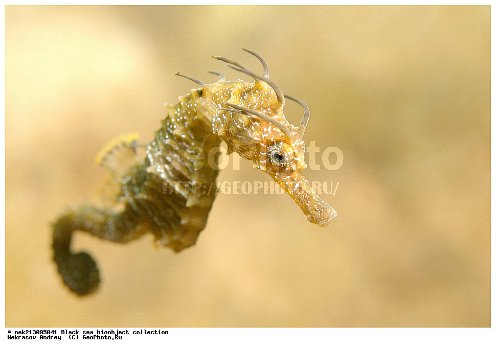 ������ ����, ����������, ���������, ����, ��������, ��������� ������, ���, ����, �����, �����, �����, �����, ��������, ��������, ����, ���������, ���, ��� �����, ���������, ��������� ����������, ���������, ���������, ��������� ���, ���������� ���������, �������, ������������, ������������, ������, ������ ����, �������, �����, �����, ����, ����