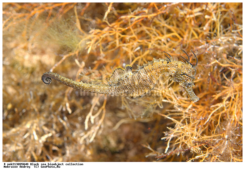 ������ ����, ����������, ���������, ����, ��������, ��������� ������, ���, ����, �����, �����, �����, �����, ��������, ��������, ����, ���������, ���, ��� �����, ���������, ��������� ����������, ���������, ���������, ��������� ���, ���������� ���������, �������, ������������, ������������, ������, ������ ����, �������, �����, �����, ����, ����