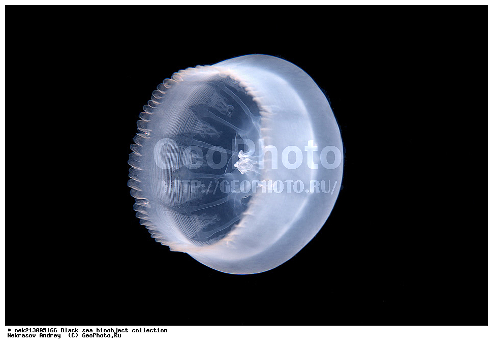 ������ ����, ����������, ���������, ����, ��������, ��������� ������, ���, ����, �����, �����, �����, �����, ��������, ��������, ����, ���������, ���, ��� �����, ���������, ��������� ����������, ���������, ���������, ��������� ���, ���������� ���������, �������, ������������, ������������, ������, ������ ����, �����������, ��������������, �����������, ������, ���, ������, ����, ����, ��������, ��������, ��������, ��������, ������ ����, ���-��������