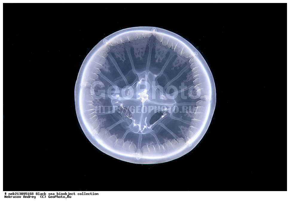 ������ ����, ����������, ���������, ����, ��������, ��������� ������, ���, ����, �����, �����, �����, �����, ��������, ��������, ����, ���������, ���, ��� �����, ���������, ��������� ����������, ���������, ���������, ��������� ���, ���������� ���������, �������, ������������, ������������, ������, ������ ����, �����������, ��������������, �����������, ������, ���, ������, ����, ����, ��������, ��������, ��������, ��������, ������ ����, ���-��������