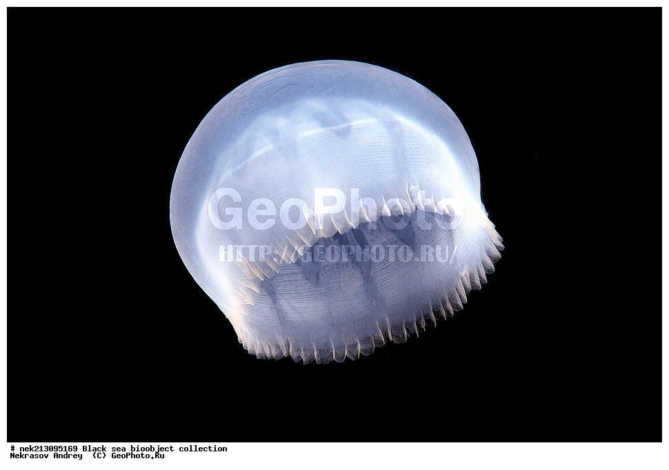 ������ ����, ����������, ���������, ����, ��������, ��������� ������, ���, ����, �����, �����, �����, �����, ��������, ��������, ����, ���������, ���, ��� �����, ���������, ��������� ����������, ���������, ���������, ��������� ���, ���������� ���������, �������, ������������, ������������, ������, ������ ����, �����������, ��������������, �����������, ������, ���, ������, ����, ����, ��������, ��������, ��������, ��������, ������ ����, ���-��������