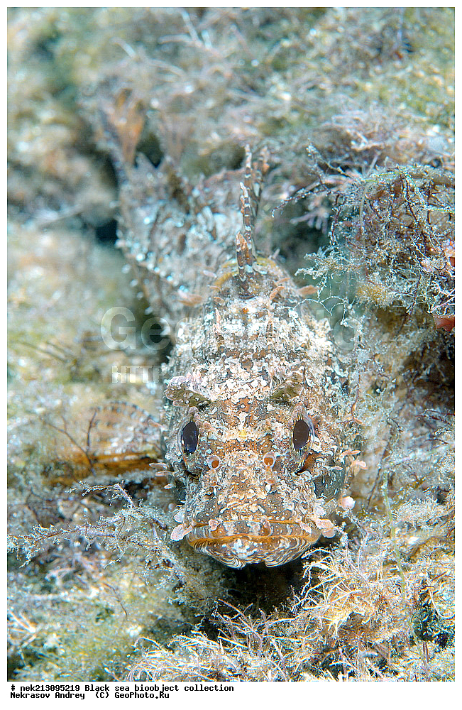 ������ ����, ����������, ���������, ����, ��������, ��������� ������, ���, ����, �����, �����, �����, �����, ��������, ��������, ����, ���������, ���, ��� �����, ���������, ��������� ����������, ���������, ���������, ��������� ���, ���������� ���������, �������, ������������, ������������, ������, ������ ����, ��������,  �������, ���, ��������, ��������, �������, ����, ����, ����������, ��������