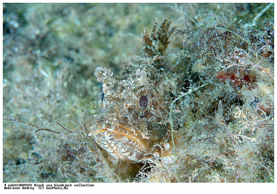 ������ ����, ����������, ���������, ����, ��������, ��������� ������, ���, ����, �����, �����, �����, �����, ��������, ��������, ����, ���������, ���, ��� �����, ���������, ��������� ����������, ���������, ���������, ��������� ���, ���������� ���������, �������, ������������, ������������, ������, ������ ����, ��������,  �������, ���, ��������, ��������, �������, ����, ����, ����������, ��������