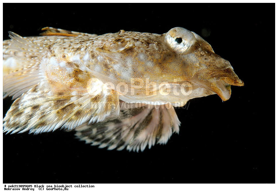 ������ ����, ����������, ���������, ����, ��������, ��������� ������, ���, ����, �����, �����, �����, �����, ��������, ��������, ����, ���������, ���, ��� �����, ���������, ��������� ����������, ���������, ���������, ��������� ���, ���������� ���������, �������, ������������, ������������, ������, ������ ����, �����, �������, �������, ���, �����, ��������, ����, ����, ��������, �������, ����, ����, ����