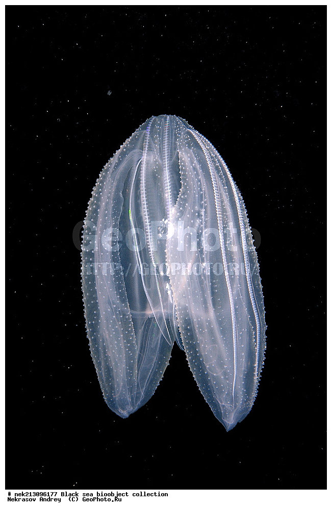 ������ ����, ����������, ���������, ����, ��������, ��������� ������, ���, ����, �����, �����, �����, �����, ��������, ��������, ����, ���������, ���, ��� �����, ���������, ��������� ����������, ���������, ���������, ��������� ���, ���������� ���������, �������, ������������, ������������, ������, ������ ����, ���������, ����������, ����������, ����, ����, ��������, ��������, ��������, ��������, ������ ����, ���-��������