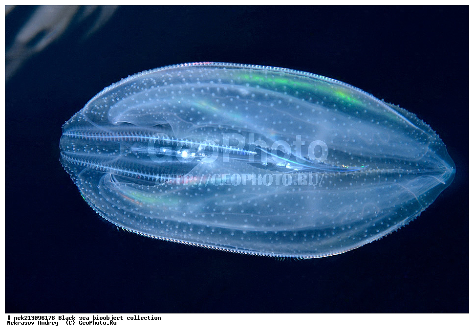 ������ ����, ����������, ���������, ����, ��������, ��������� ������, ���, ����, �����, �����, �����, �����, ��������, ��������, ����, ���������, ���, ��� �����, ���������, ��������� ����������, ���������, ���������, ��������� ���, ���������� ���������, �������, ������������, ������������, ������, ������ ����, ���������, ����������, ����������, ����, ����, ��������, ��������, ��������, ��������, ������ ����, ���-��������