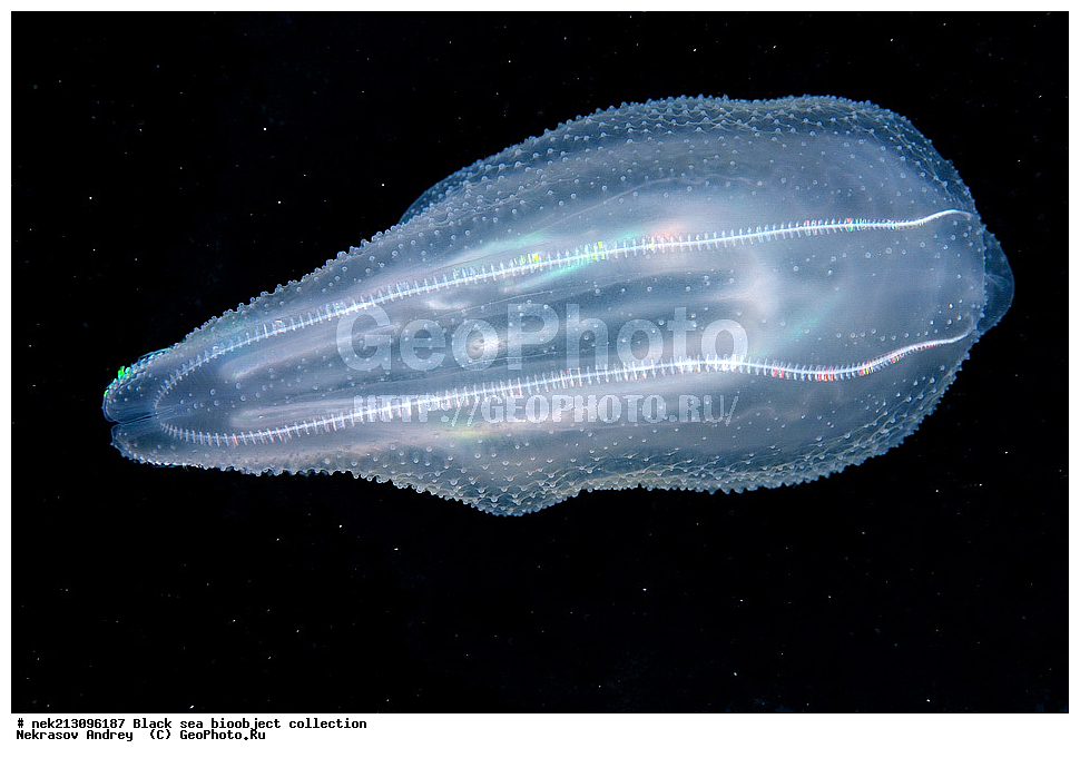 ������ ����, ����������, ���������, ����, ��������, ��������� ������, ���, ����, �����, �����, �����, �����, ��������, ��������, ����, ���������, ���, ��� �����, ���������, ��������� ����������, ���������, ���������, ��������� ���, ���������� ���������, �������, ������������, ������������, ������, ������ ����, ���������, ����������, ����������, ����, ����, ��������, ��������, ��������, ��������, ������ ����, ���-��������