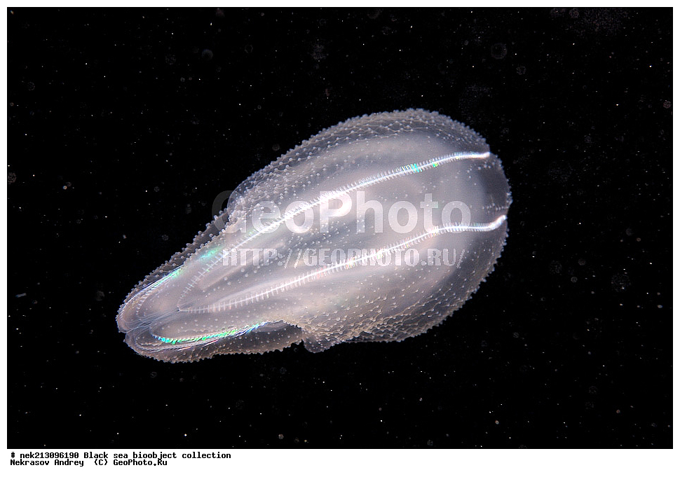 ������ ����, ����������, ���������, ����, ��������, ��������� ������, ���, ����, �����, �����, �����, �����, ��������, ��������, ����, ���������, ���, ��� �����, ���������, ��������� ����������, ���������, ���������, ��������� ���, ���������� ���������, �������, ������������, ������������, ������, ������ ����, ���������, ����������, ����������, ����, ����, ��������, ��������, ��������, ��������, ������ ����, ���-��������