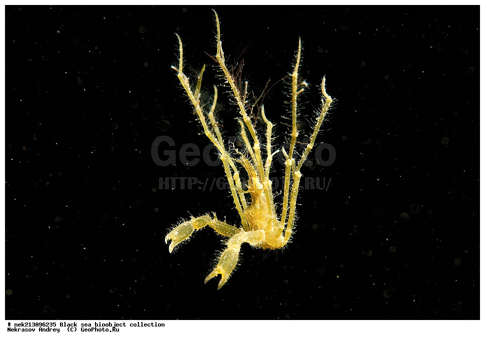 ������ ����, ����������, ���������, ����, ��������, ��������� ������, ���, ����, �����, �����, �����, �����, ��������, ��������, ����, ���������, ���, ��� �����, ���������, ��������� ����������, ���������, ���������, ��������� ���, ���������� ���������, �������, ������������, ������������, ������, ������ ����, ����, �����, �������