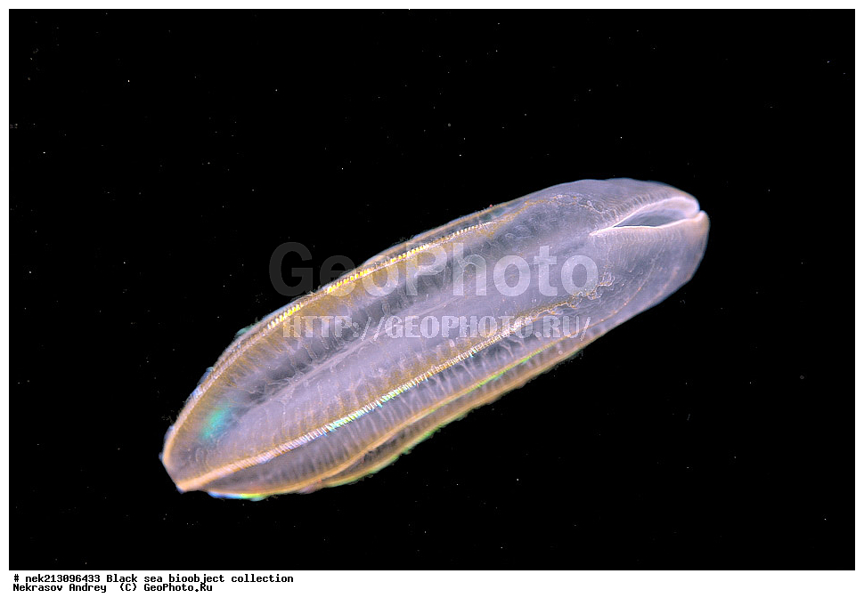 ������ ����, ����������, ���������, ����, ��������, ��������� ������, ���, ����, �����, �����, �����, �����, ��������, ��������, ����, ���������, ���, ��� �����, ���������, ��������� ����������, ���������, ���������, ��������� ���, ���������� ���������, �������, ������������, ������������, ������, ������ ����, ������, ���������, �����, ����������, ������, ����, ����, ��������, ��������, ��������, ��������, ������ ����, ���-��������