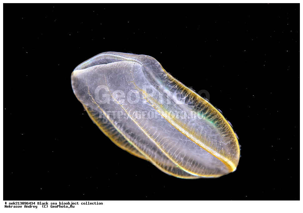 ������ ����, ����������, ���������, ����, ��������, ��������� ������, ���, ����, �����, �����, �����, �����, ��������, ��������, ����, ���������, ���, ��� �����, ���������, ��������� ����������, ���������, ���������, ��������� ���, ���������� ���������, �������, ������������, ������������, ������, ������ ����, ������, ���������, �����, ����������, ������, ����, ����, ��������, ��������, ��������, ��������, ������ ����, ���-��������