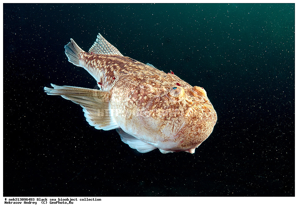 ������ ����, ����������, ���������, ����, ��������, ��������� ������, ���, ����, �����, �����, �����, �����, ��������, ��������, ����, ���������, ���, ��� �����, ���������, ��������� ����������, ���������, ���������, ��������� ���, ���������� ���������, �������, ������������, ������������, ������, ������ ����, ���������, ������� ������, ����, ����, ��������, ��������